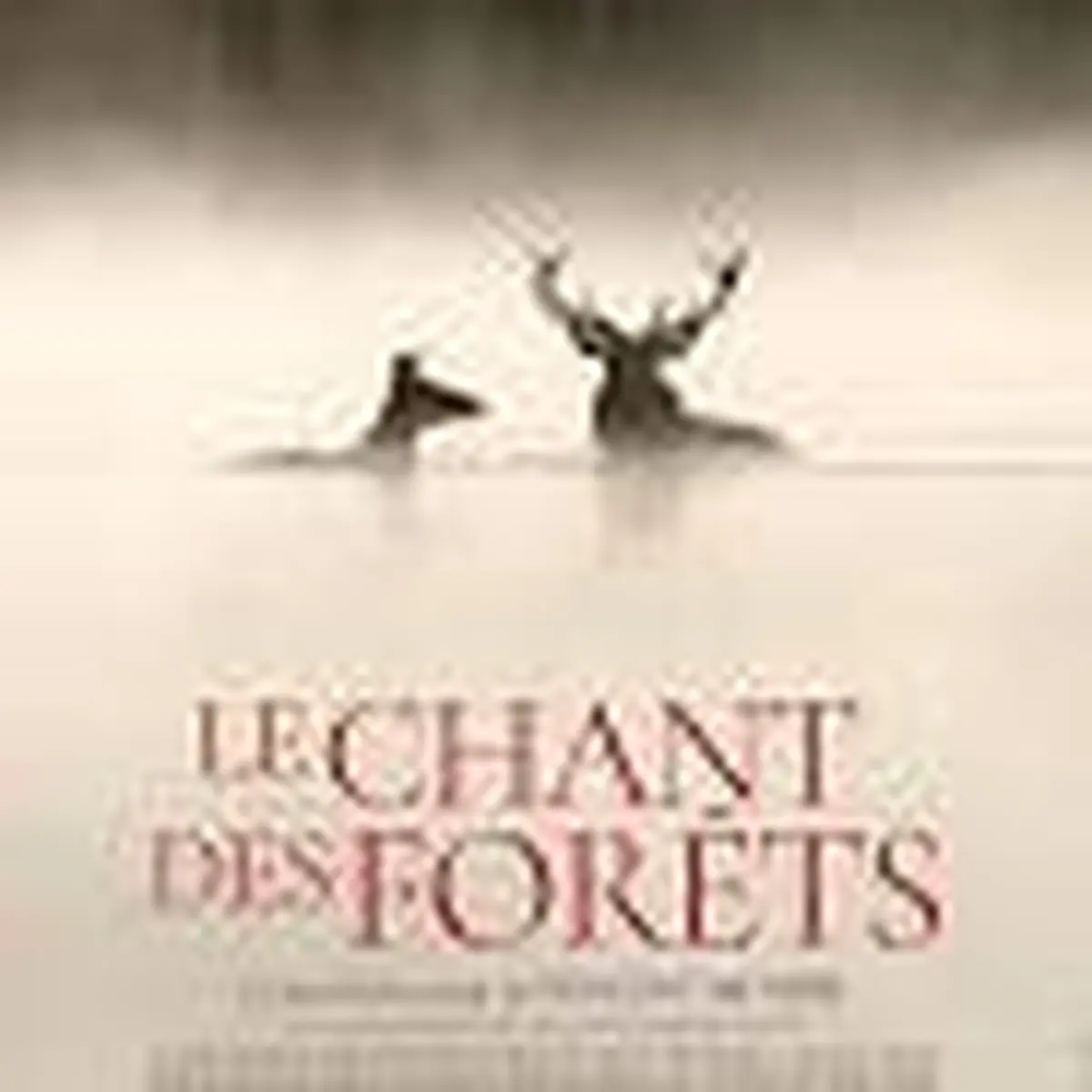 Cinéco – Le Chant Des Forêts