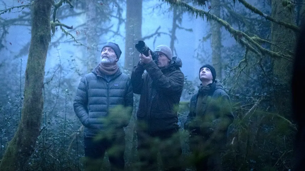 Cinéco : Le Chants Des Forêts