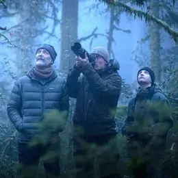 Cinéco : Le Chants Des Forêts