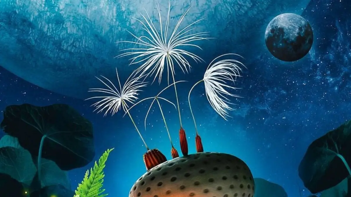 Cineco : Planètes