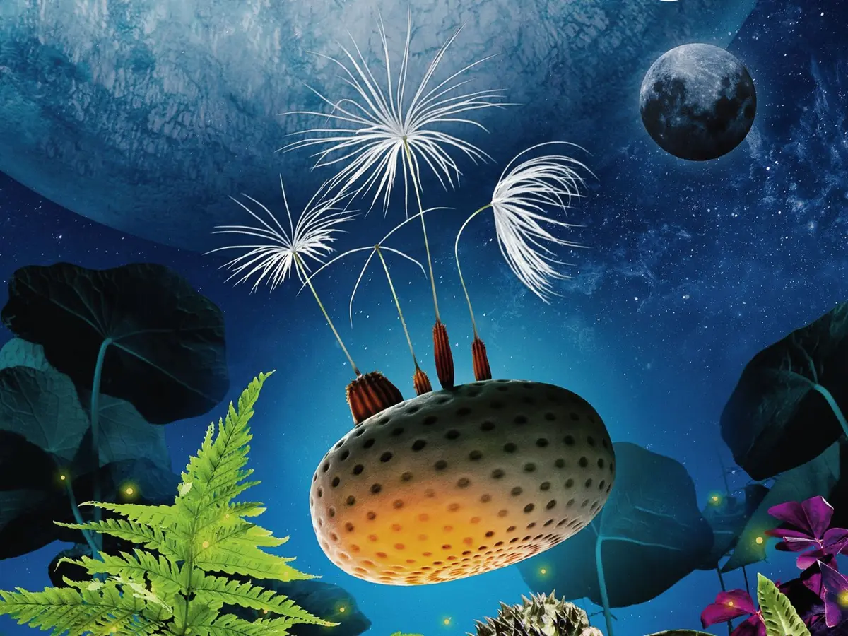 Cineco : Planètes