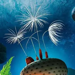 Cineco : Planètes