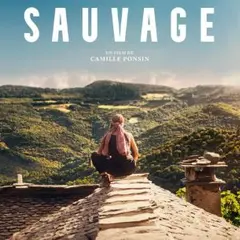 Cineco : Sauvage