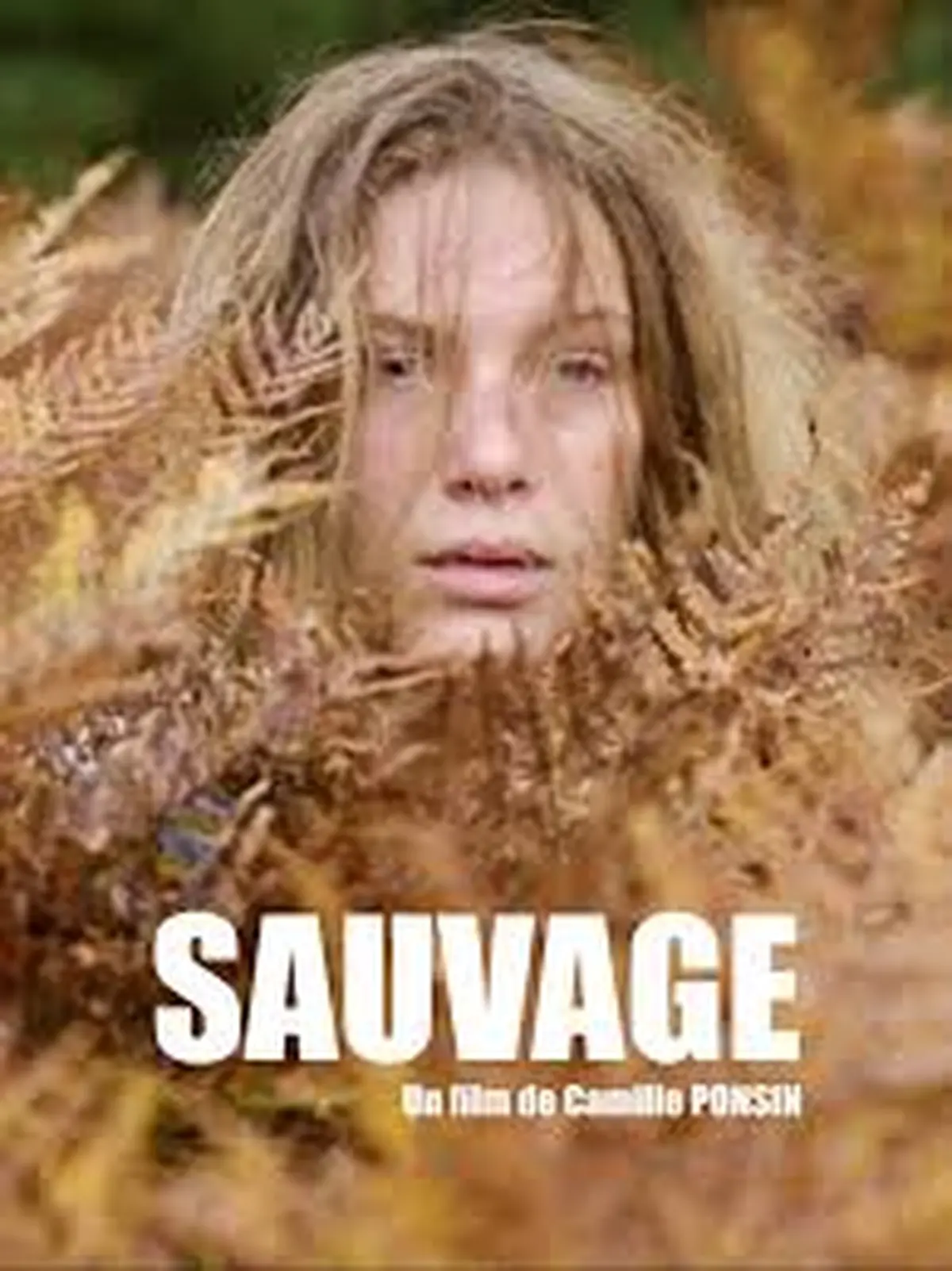 Cinéco : Sauvage