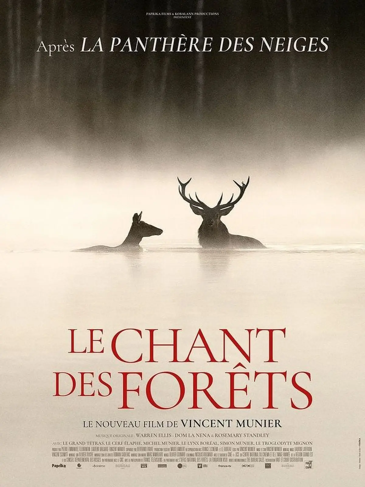 Cinéma à  Bugeat : Le chant des forêts