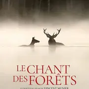 Cinéma à  Bugeat : Le chant des forêts