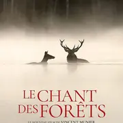 Cinéma à l'auditoire de Joinville Le chant des forêts