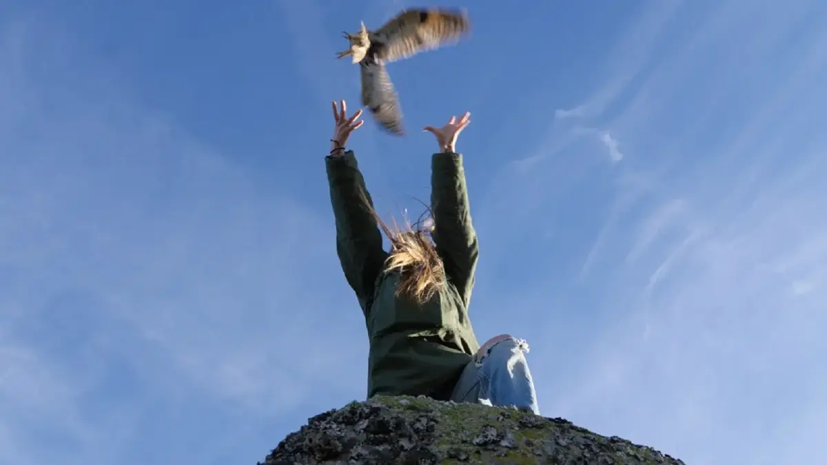 Cinéma Arévi : Animus Femina