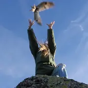 Cinéma Arévi : Animus Femina