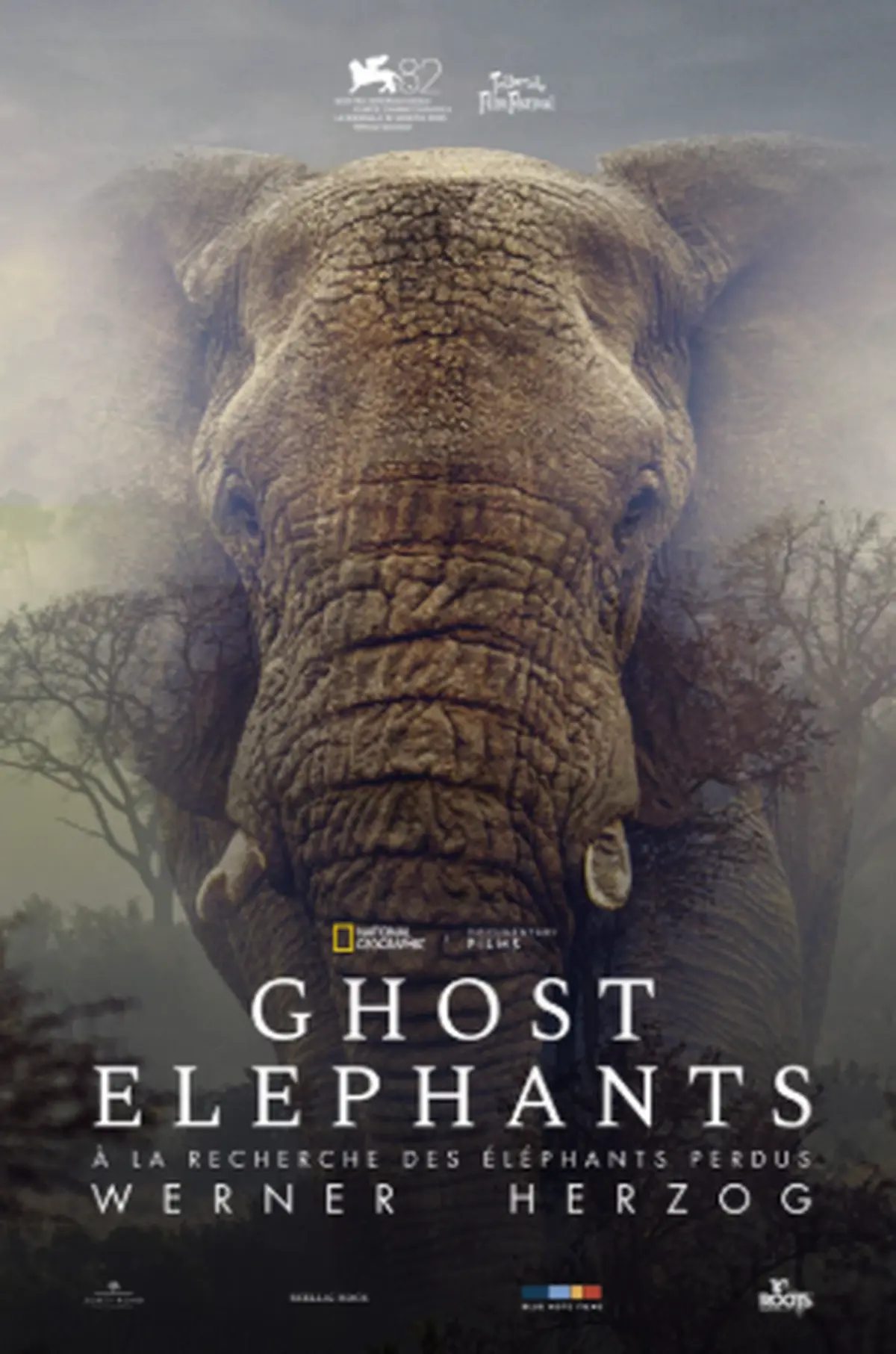 Cinéma Arudy : Ghost elephants