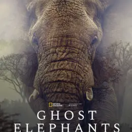 Cinéma Arudy : Ghost elephants