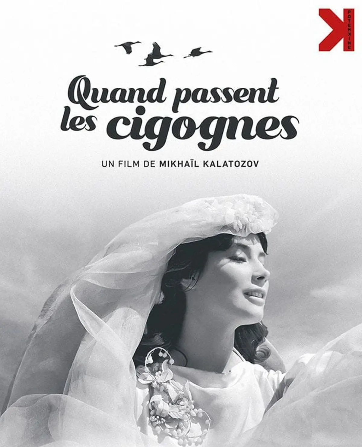 Cinéma Arudy : Quand passent les cigognes - C ta toile