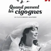 Cinéma Arudy : Quand passent les cigognes - C ta toile