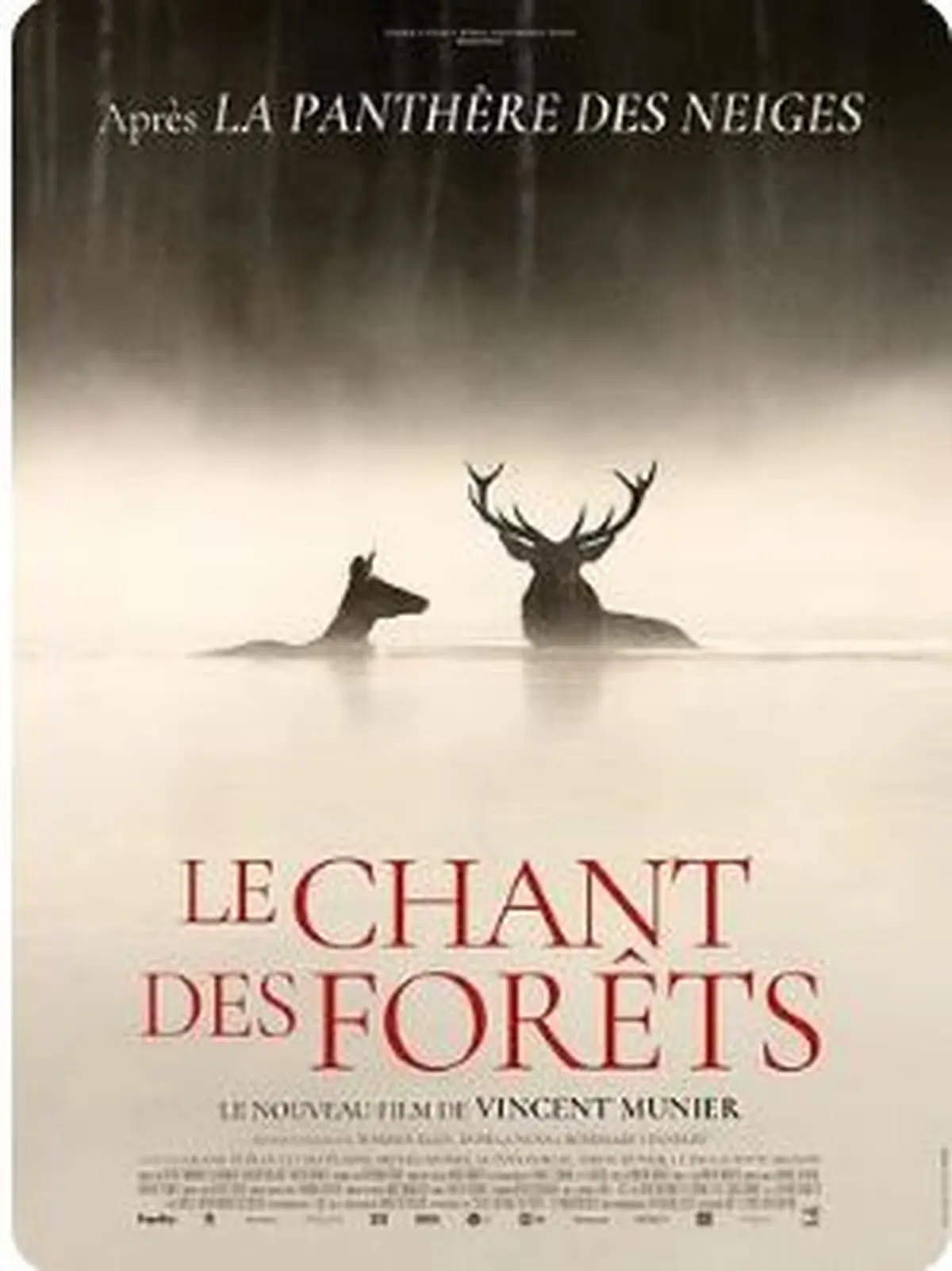 Cinéma : Documentaire le chant des forêts