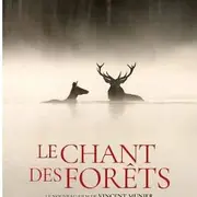 Cinéma : Documentaire le chant des forêts