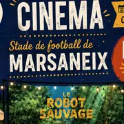 Cinéma en plein air