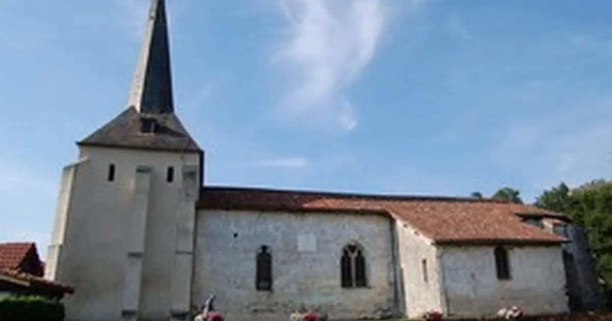 Cinéma en plein air