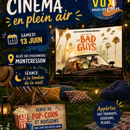 Cinéma en plein air