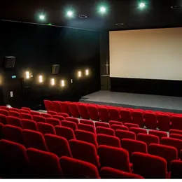 Cinéma en plein air