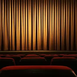 Cinema en plein air à Amboise Flow, le chat qui n'avait plus peur de l'eau