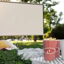 Cinéma en plein air à Ligné : le film Un p’tit truc en plus sera diffusé le 28 août 2026