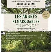 Cinema En Plein Air Arbres Au Chateau Capion