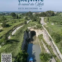 Cinema En Plein Air Au Malpas