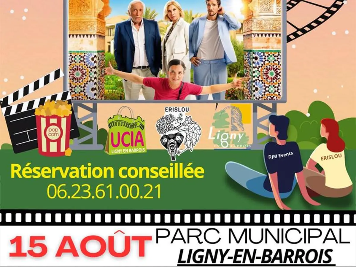 Cinéma en plein air et marché estival