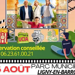Cinéma en plein air et marché estival