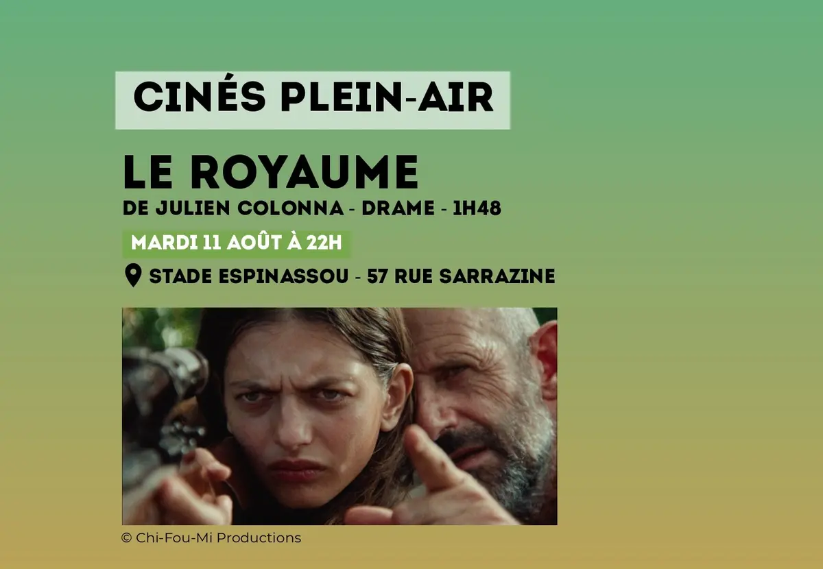 Cinéma en plein-air - Film Le Royaume à Niort