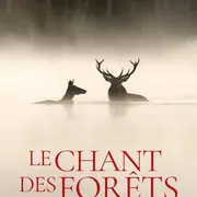 Cinéma en plein air  Le chant des forêts