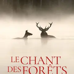 Cinéma en plein air  Le chant des forêts