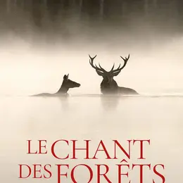 Cinéma en plein air  Le chant des forêts