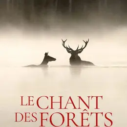 Cinéma en plein air : Le chant des forêts