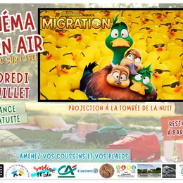 Cinéma en plein air : Migration