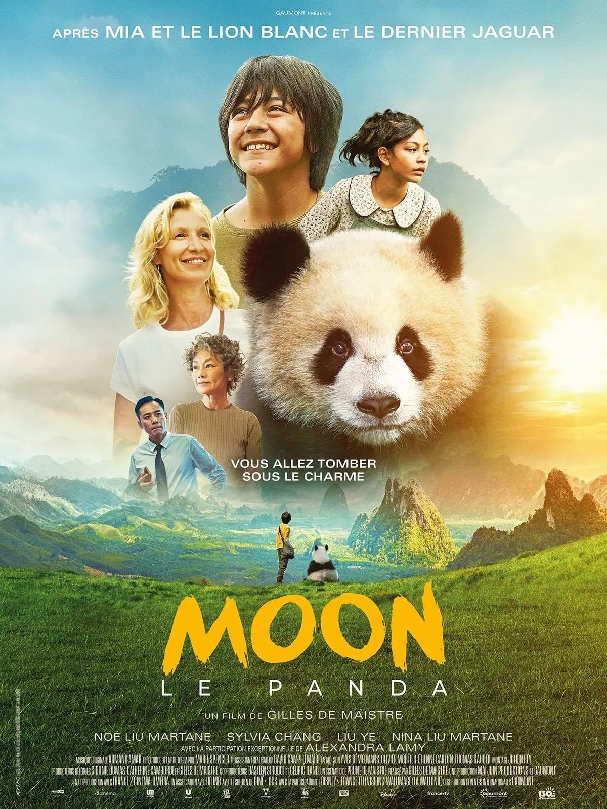 Cinéma en plein air : Moon le Panda