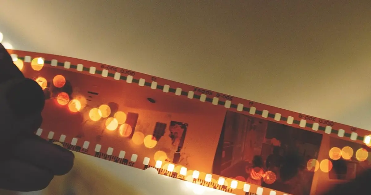 Cinéma en plein air : Tous en Scène 2
