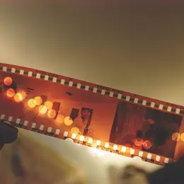 Cinéma en plein air : Tous en Scène 2