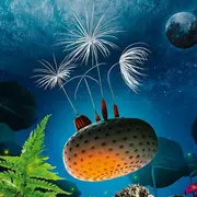 Cinéma et Atelier scientifique, dès 8 ans