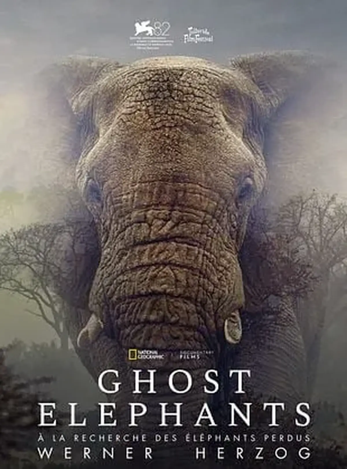 Cinéma : Ghost elephants