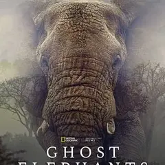 Cinéma : Ghost elephants
