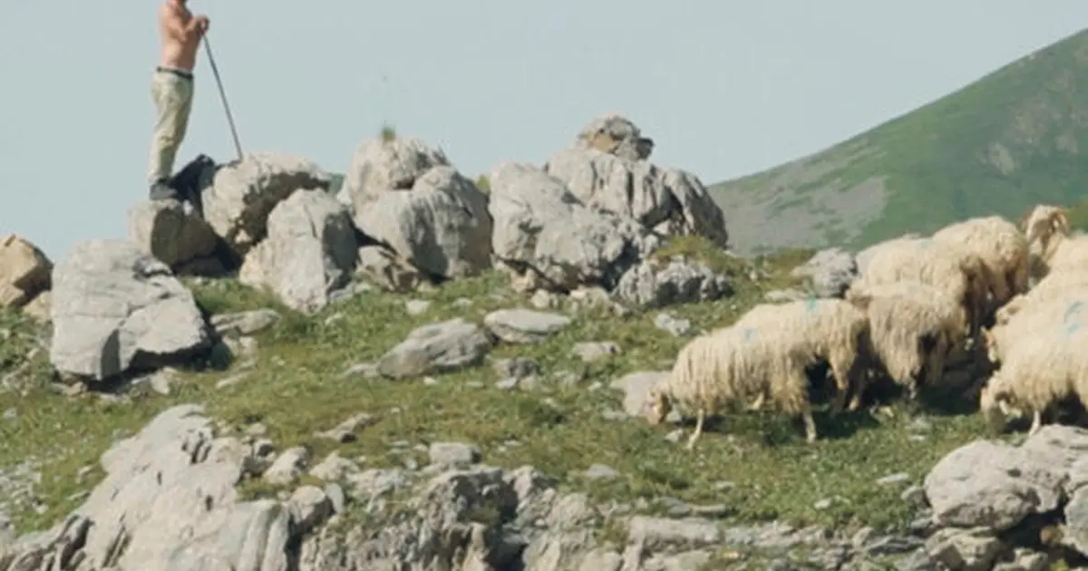 Cinéma Gourette : Estive