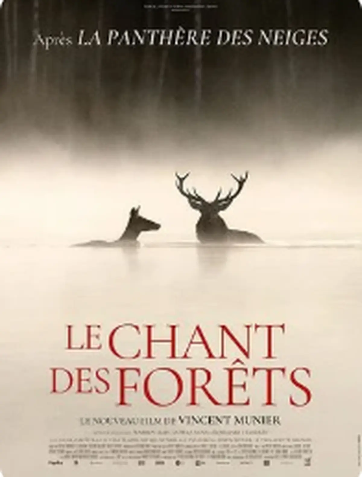 Cinéma Gourette : Le Chant des forêts