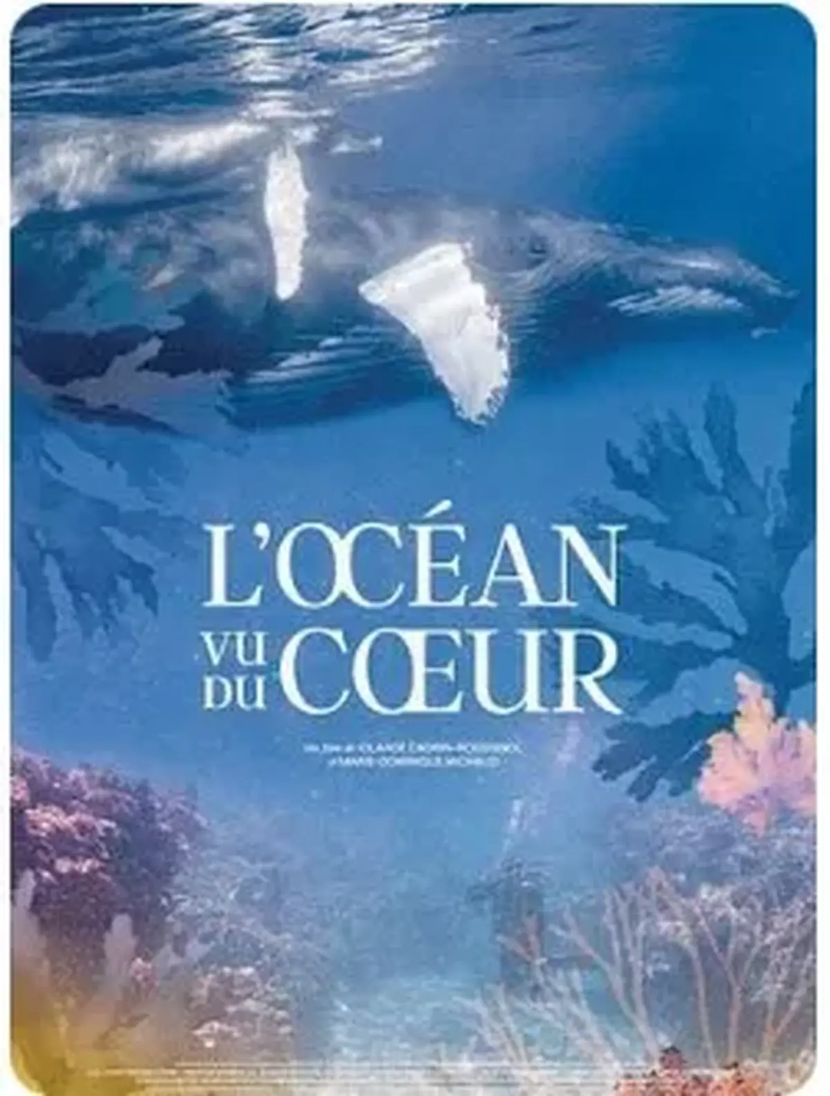 Cinéma : L'Océan vu du cœur