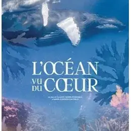 Cinéma : L'Océan vu du cœur