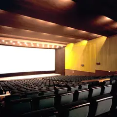 Cinéma : La Bataille de Gaulle - partie 1 : L'Âge de Fer