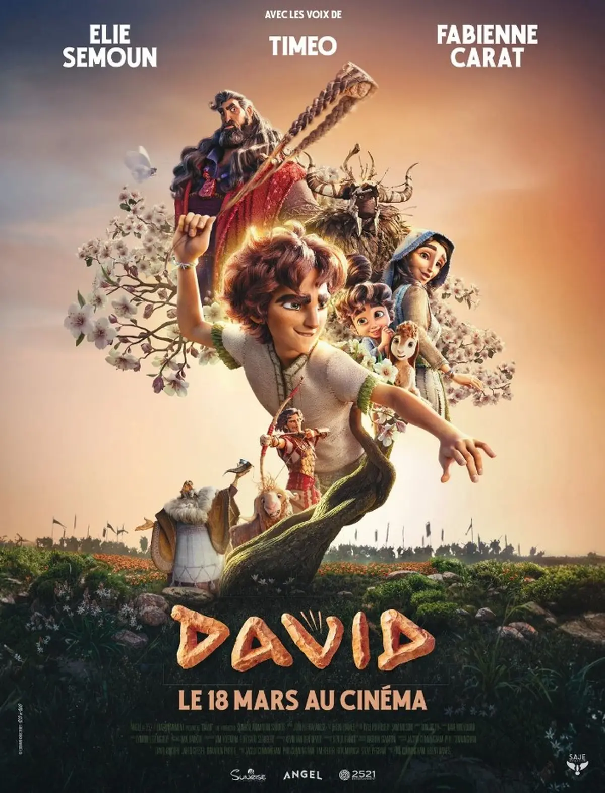 Cinéma Laruns : David