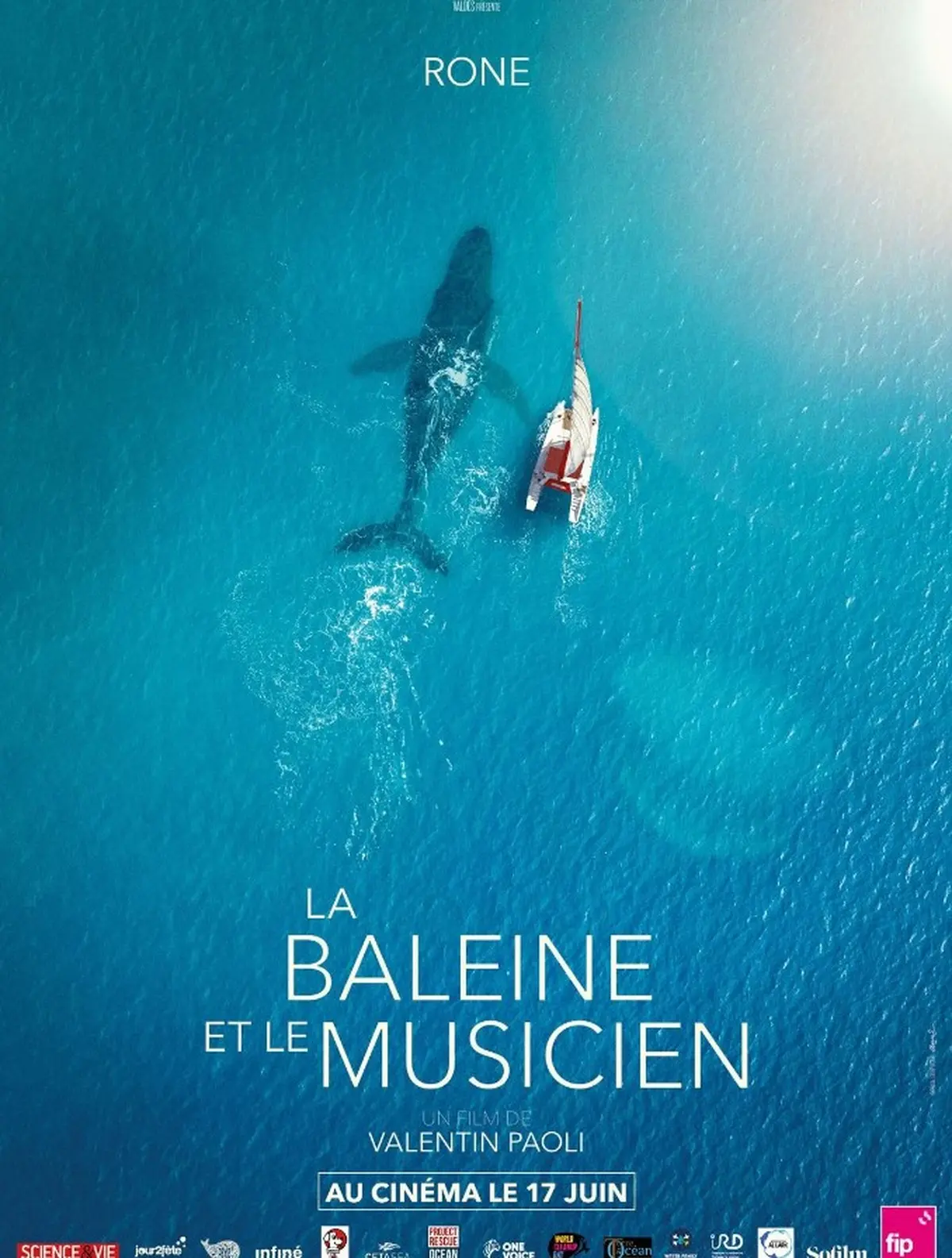 Cinéma Laruns : La baleine et le musicien