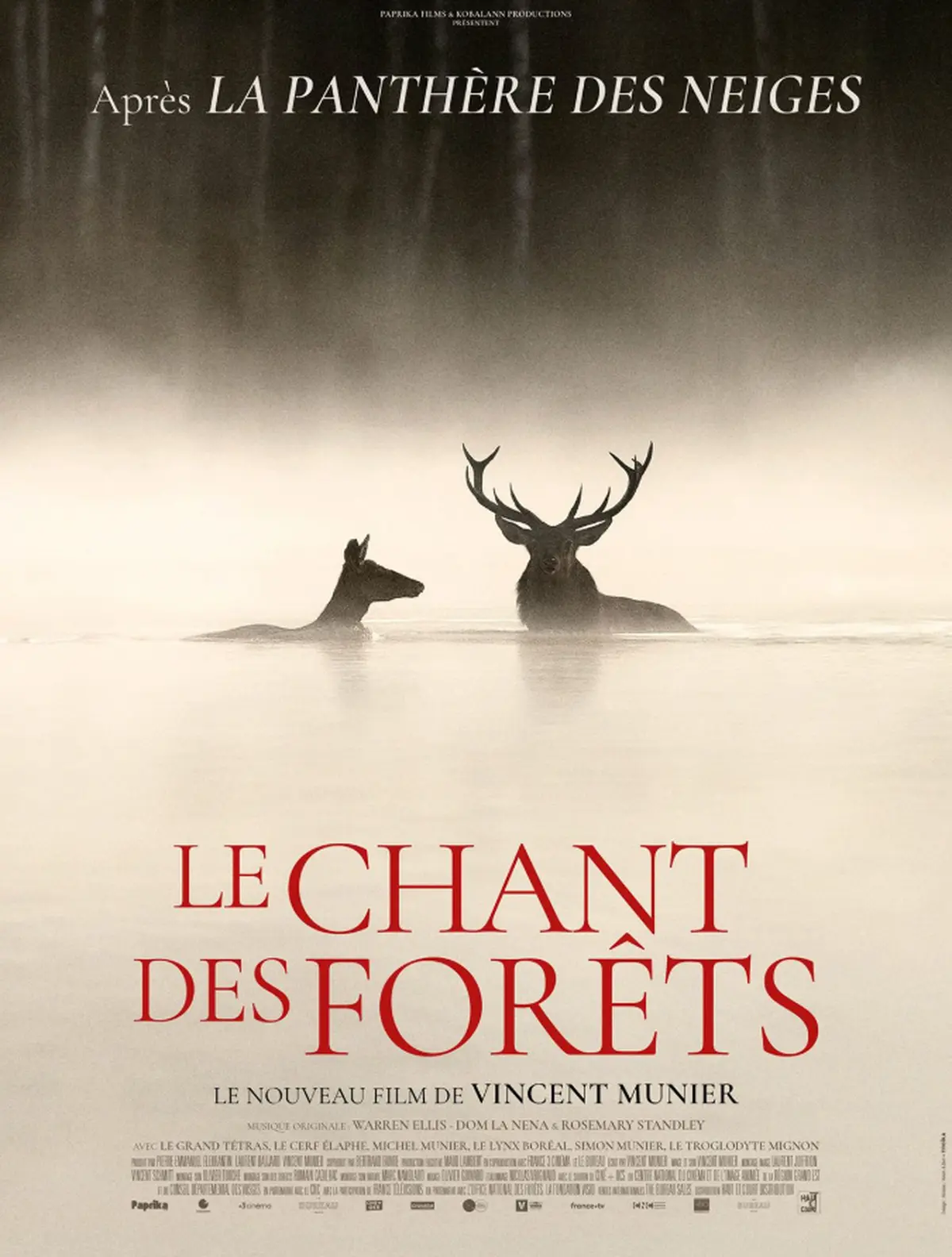 Cinéma Laruns : Le Chant des forêts
