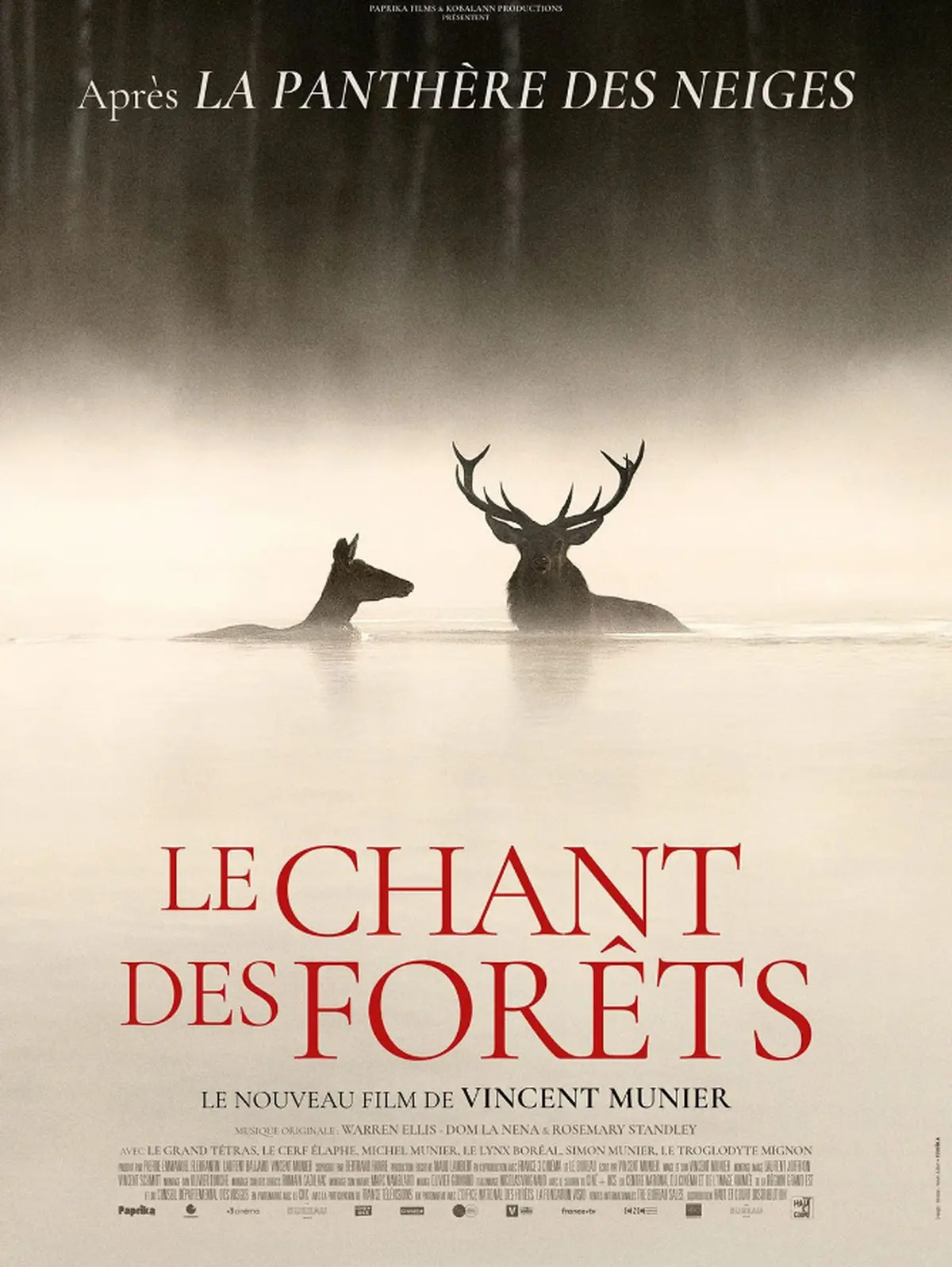 Cinéma Laruns : Le Chant des forêts